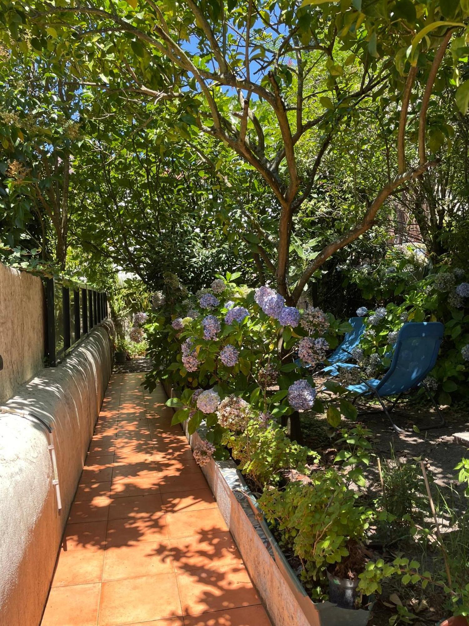 Casa Portugueza Experience Apartment Porto Bagian luar foto